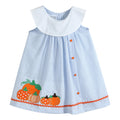 Pumpkin Patch Seersucker Yoke Dress